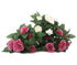 Artificial 26cm Dusky Pink and White Rose Plug Plant Collection